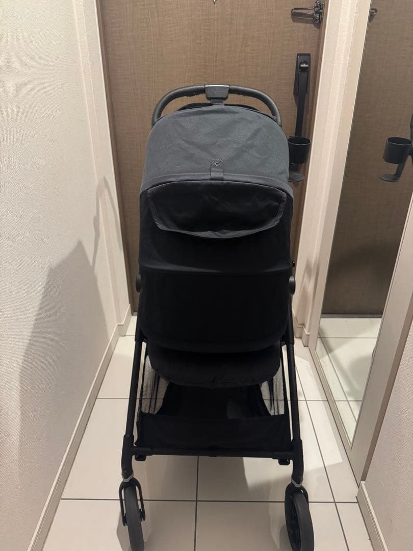 サイベックス　メリオカーボン　2021