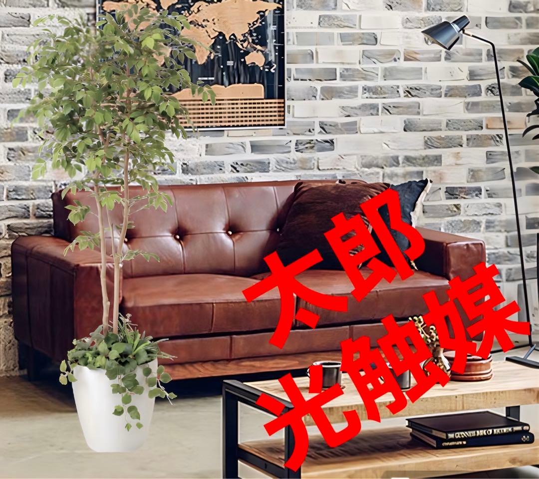 光触媒　人工観葉植物　ウォールグリーン　マウンテンアッシュ1.8 植栽付