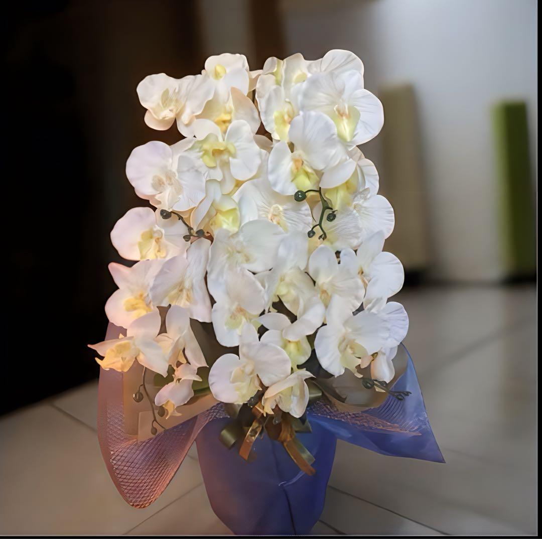 光触媒　人工観葉植物　ウォールグリーン　フェイクグリーン　胡蝶蘭764242