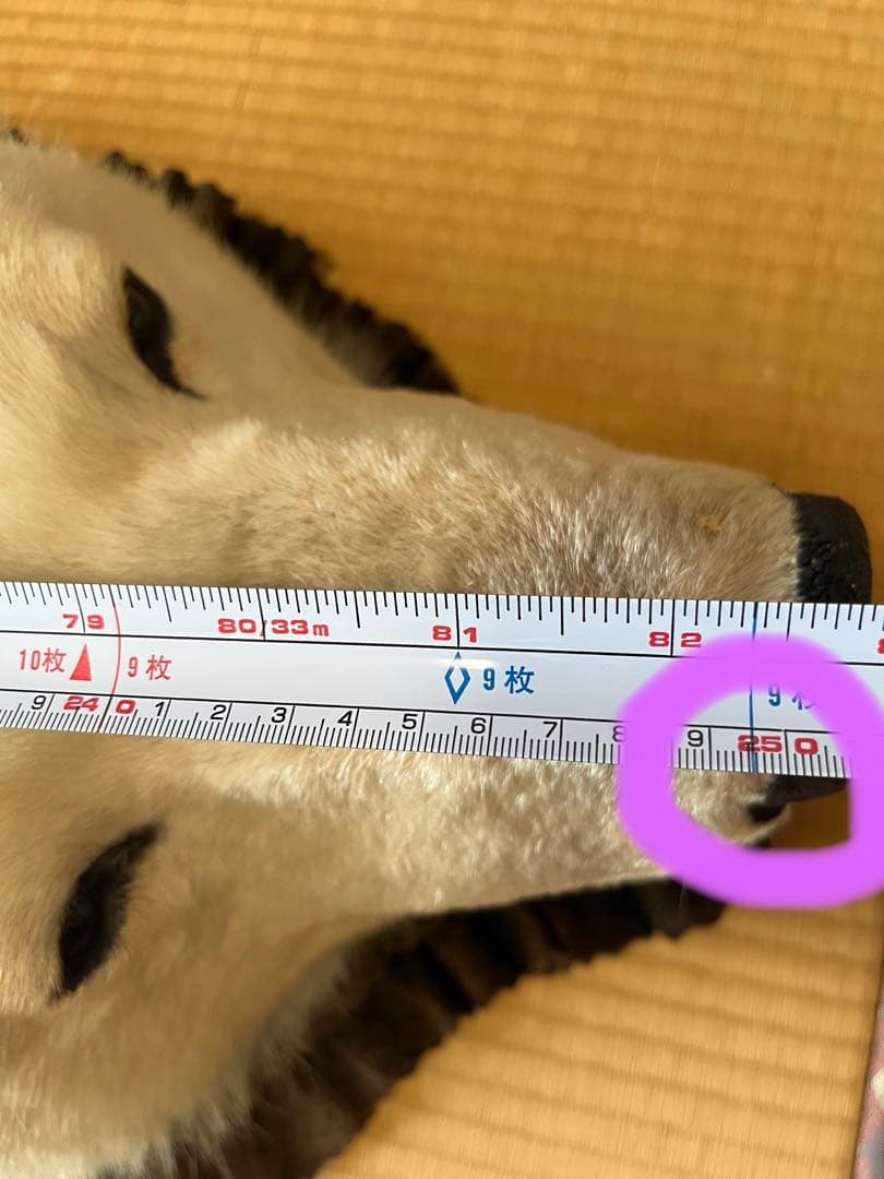 白熊　剥製　ラグ