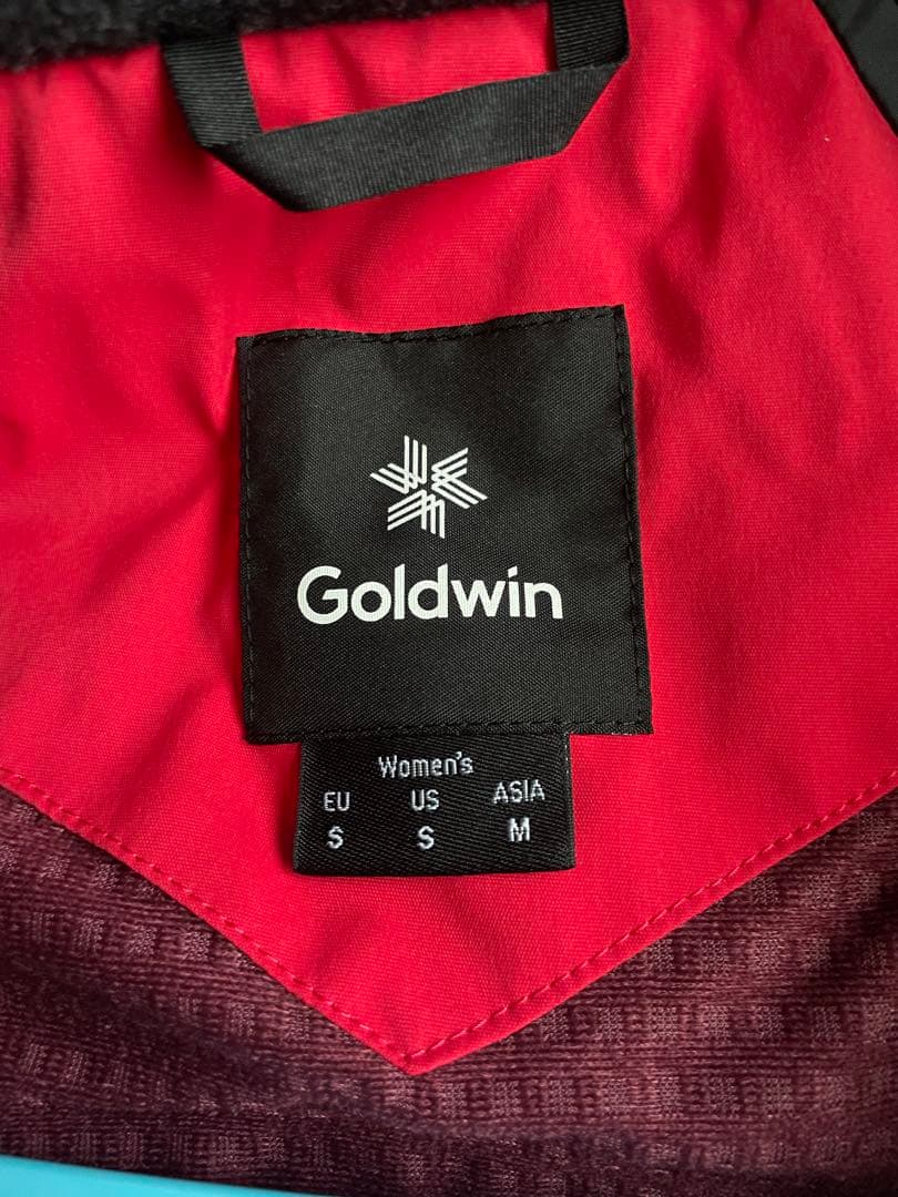 GOLDWIN スキーウェア上下 レディース アジア Mサイズ