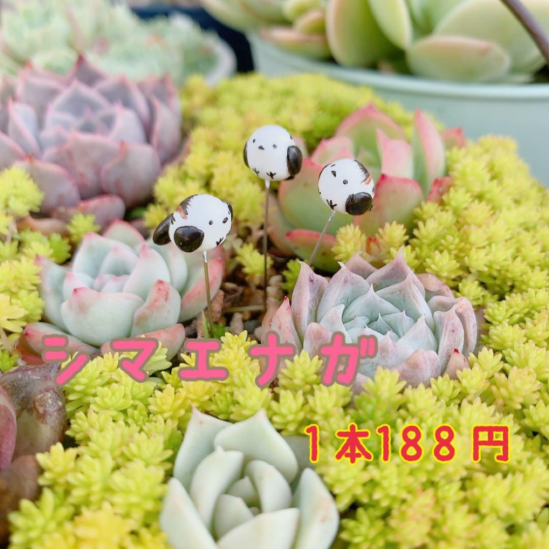 ガーデンピックオーダーページ