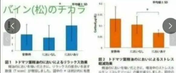 【送料無料】店頭では買えない・創業安政オンセンスパインバス　2.1キロ缶×6缶
