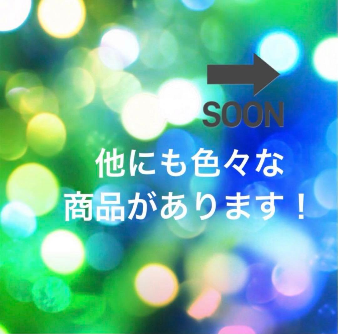 スワロフスキークリスタル®︎ 朝焼けの大聖堂　ステンドグラス　ポニーフック