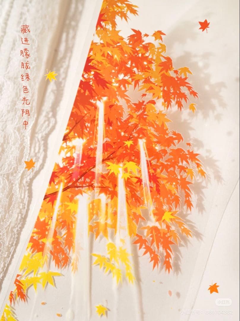 【9328】海外　マステ　5m巻　PETマスキングテープ　木影　四季　背景