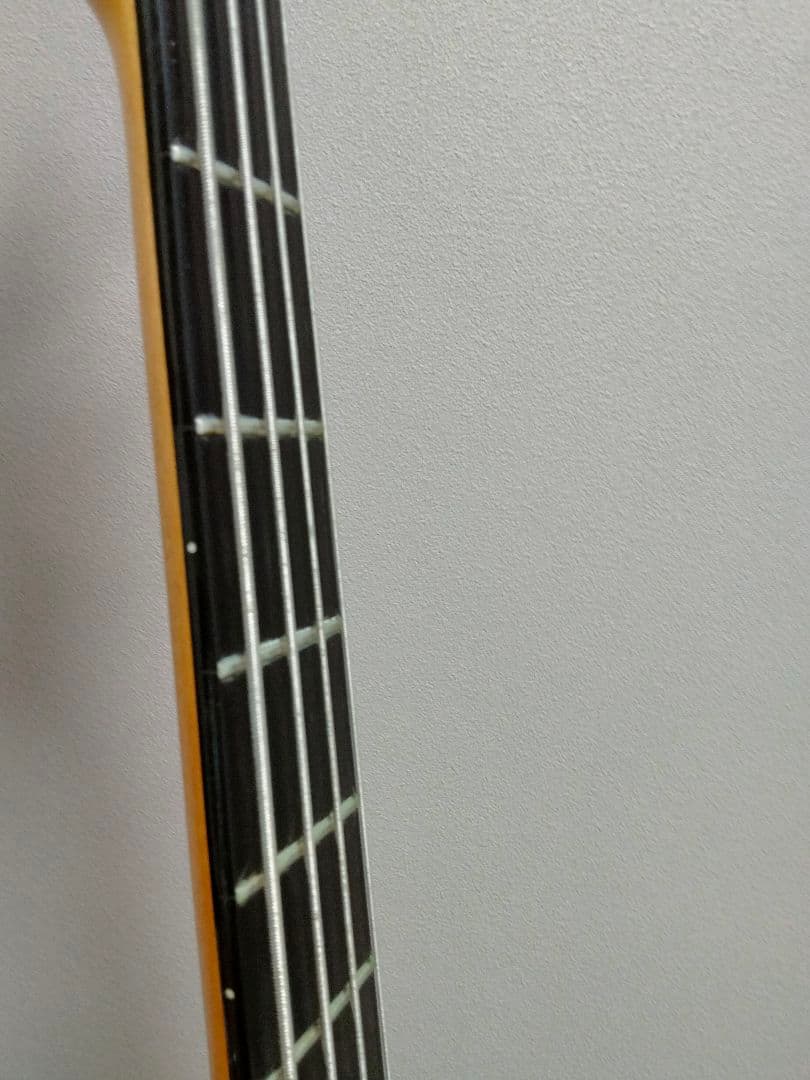 ベース ESP Reindeer RD-250 STD