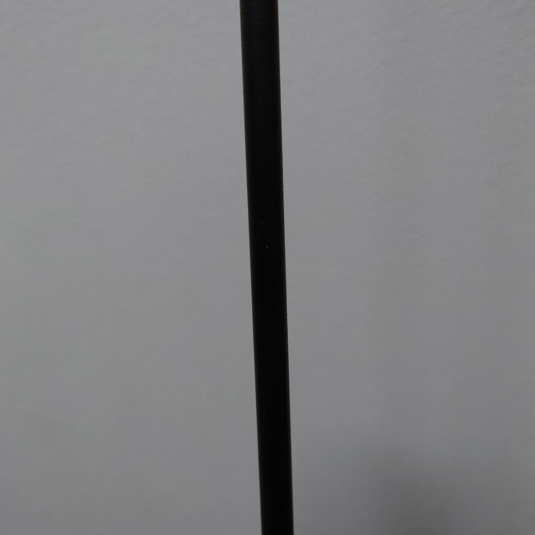 エバーグリーン　オライオン　スターゲイザー