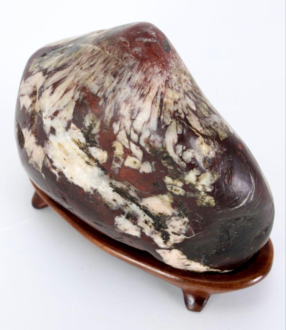 根尾川 菊花石 紋石 共箱 台座付 811g 鑑賞石 原石 自然石 水石 盆石