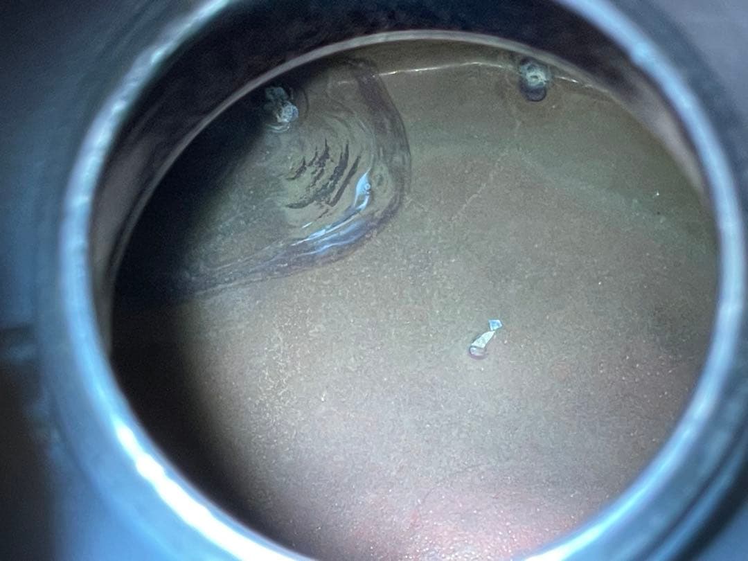 【LE GRAND TETRAS】 ウォータージャグ