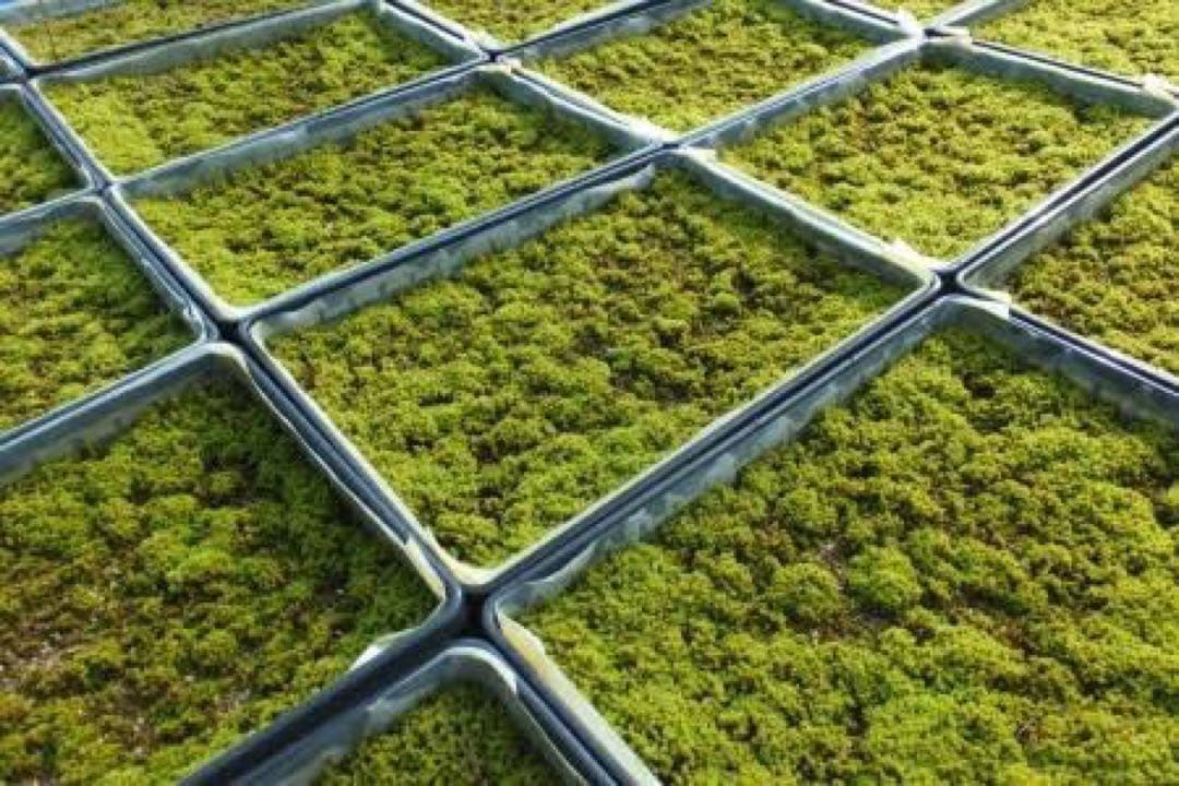 高橋@プロフィールをご確認下さい。