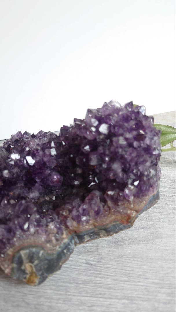 珍しい！コブ付きウルグアイ産アメジストクラスター