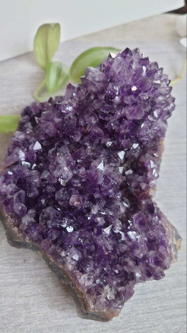 珍しい！コブ付きウルグアイ産アメジストクラスター