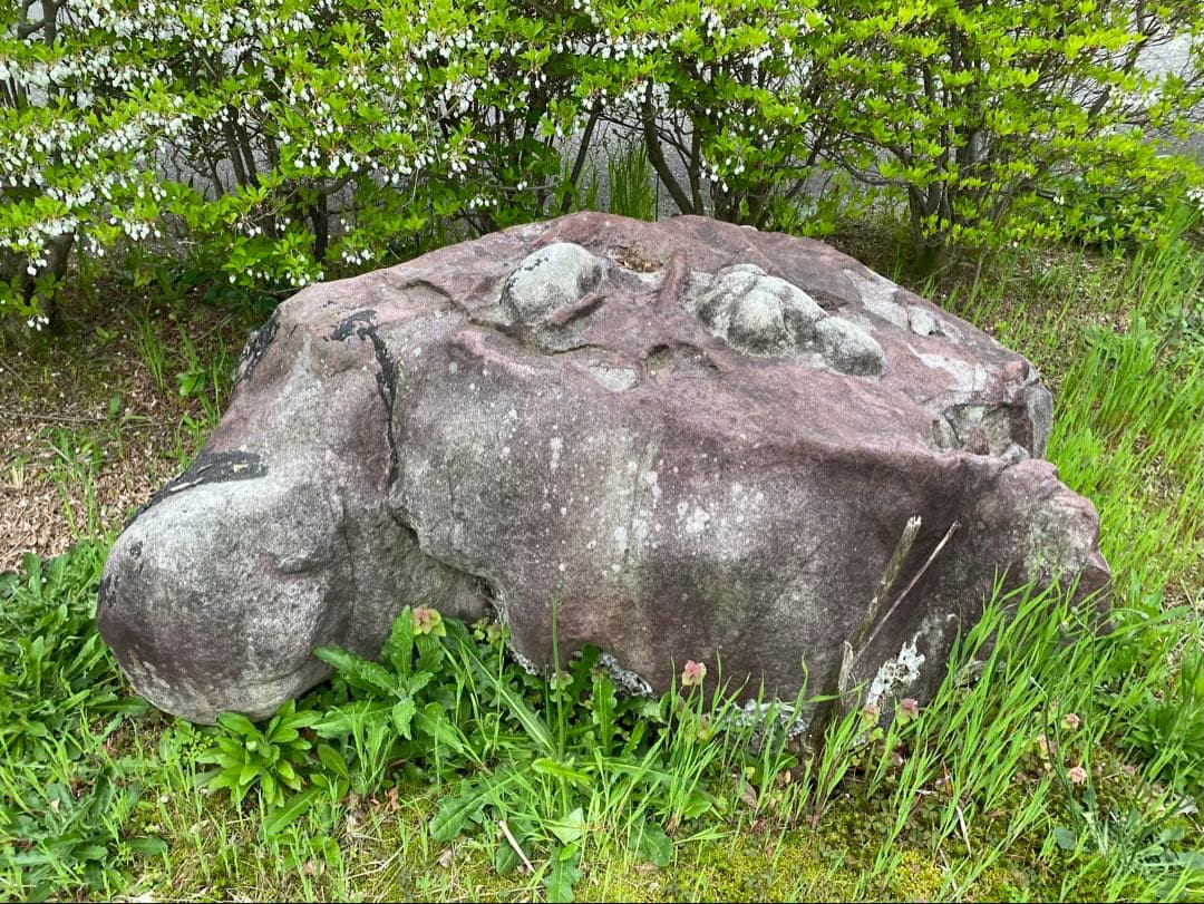 紫灰色 庭石 大 自然石 約130×70×55㎝【石川県引き取り】まとめ割