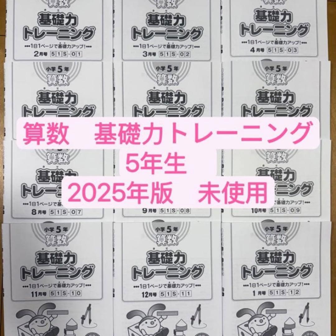 未使用　サピックスsapix 算数　基礎力トレーニング　5年　12冊　最新
