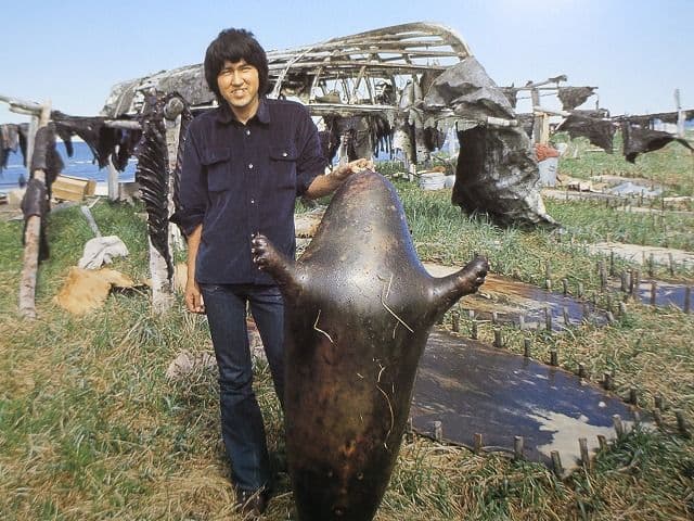 写真集「星野道夫の仕事」 全4巻セット、美品