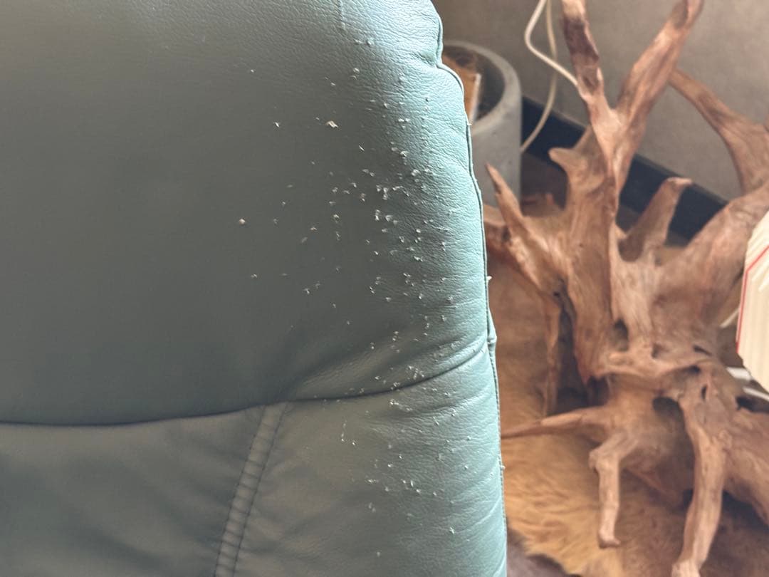 エコーネス　EKORNES ストレスレスチェア　1Pソファ　オットマン付　SZ