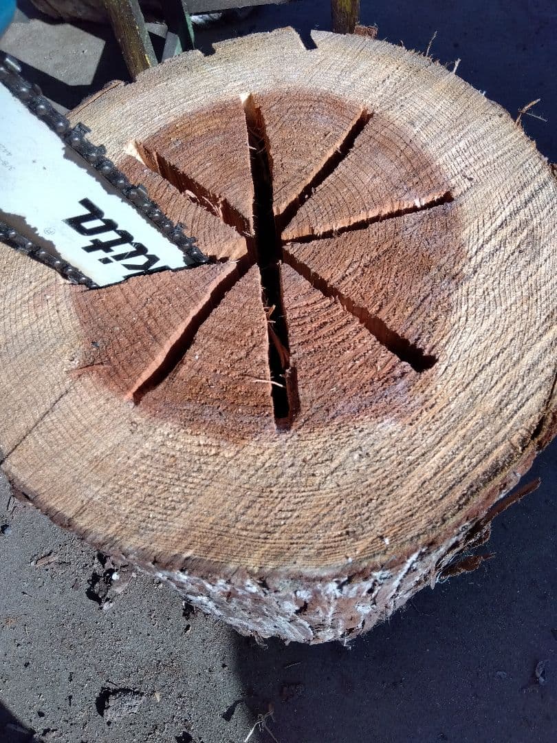 みつばち飼育箱、昆虫飼育用 中空洞木材 杉材 樹洞 くり抜き 丸洞 丸太