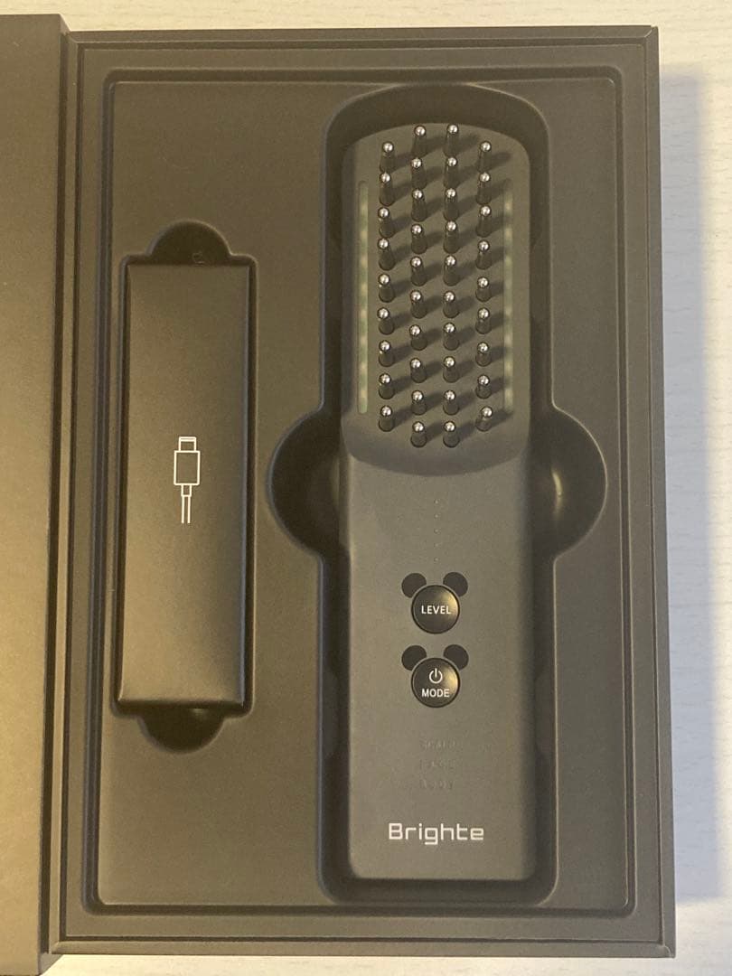 brighte ELEKI BRUSH+（ミッキーデザイン）ブライトエレキブラシ