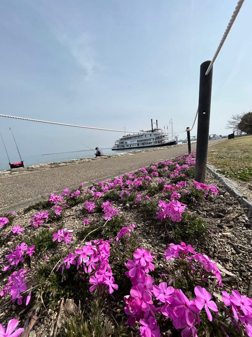 確認用　大雪ドライブ　長浜城　愛犬　玉玉　トラ