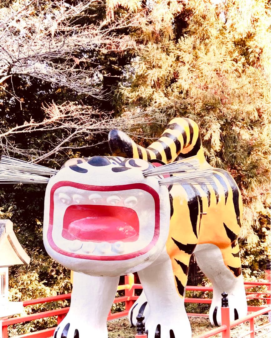 確認用　大雪ドライブ　長浜城　愛犬　玉玉　トラ