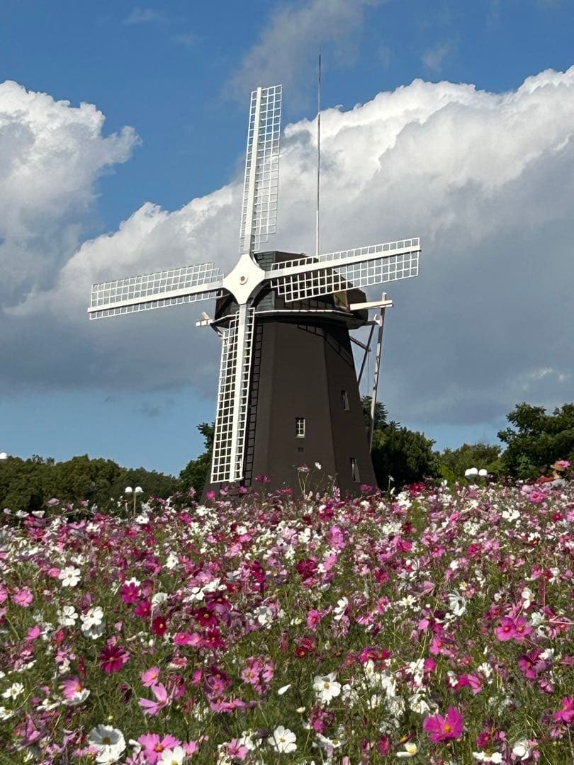 確認用　大雪ドライブ　長浜城　愛犬　玉玉　トラ
