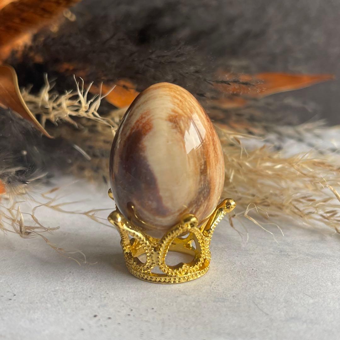 ペトリファイドウッド ミニegg 珪化木