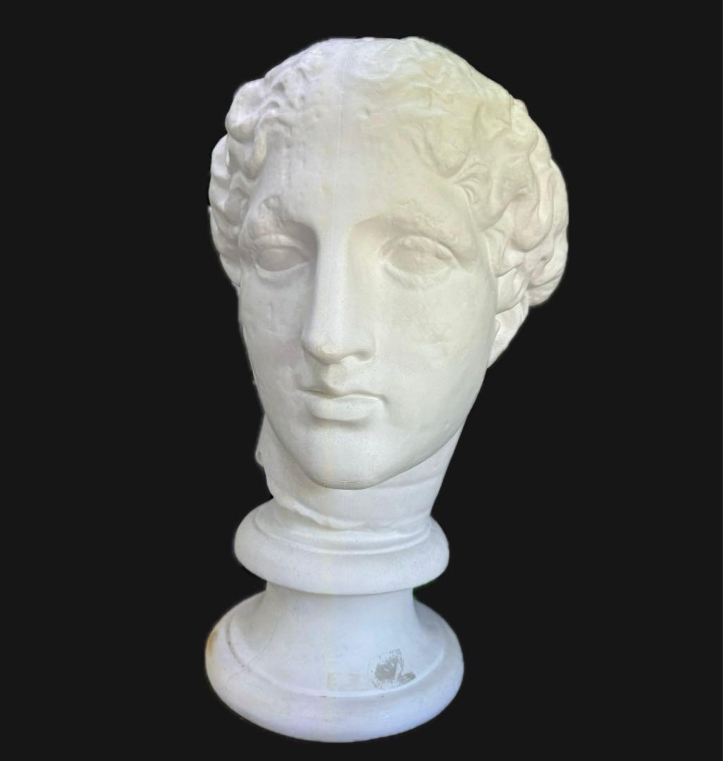 【ラボルト】石膏像