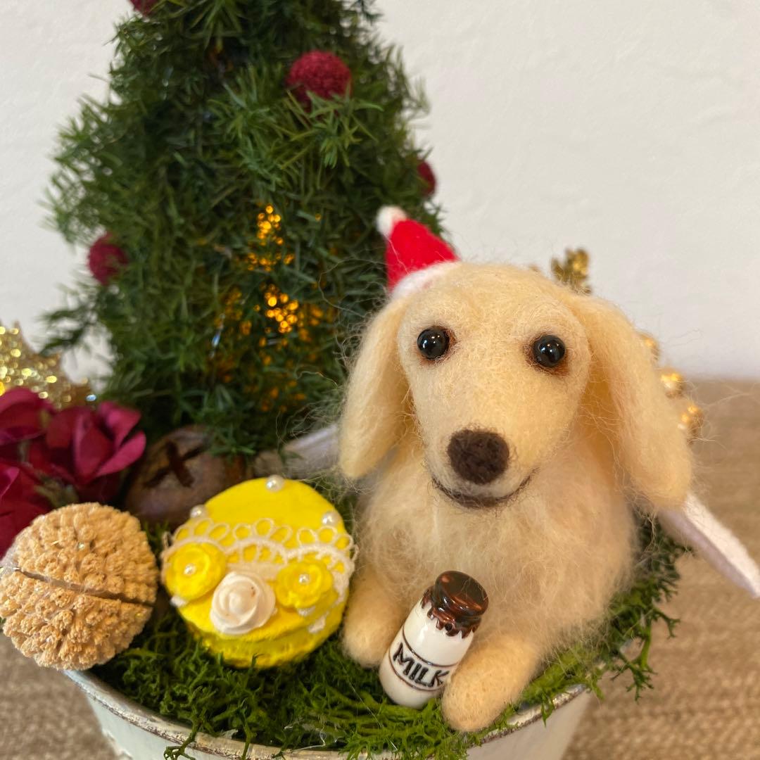 クリスマスアレンジ&ダックスちゃん