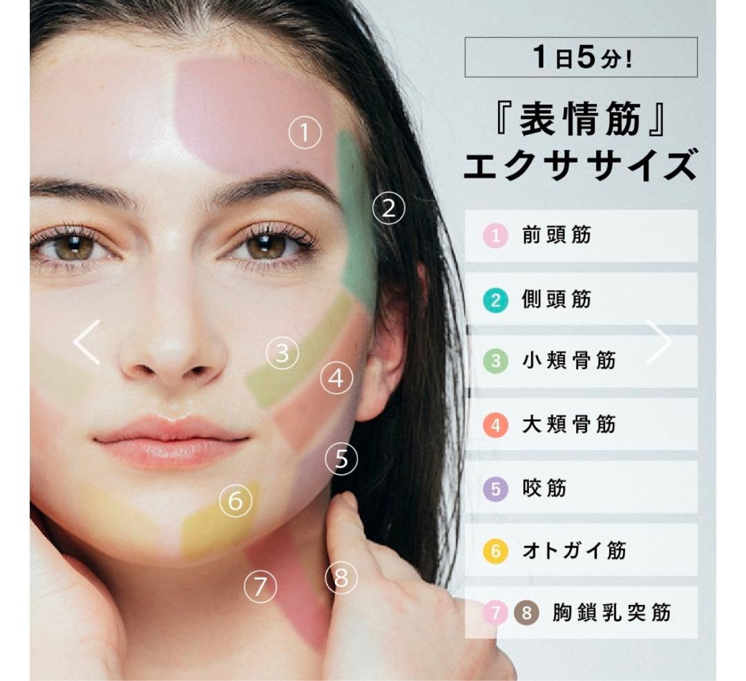 MYTREX EMS HEAD SPA PRO 電気針ヘッドスパ