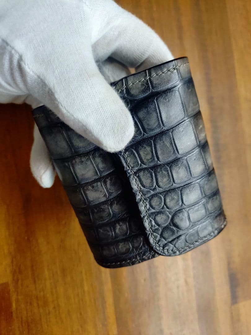 ワイルドスワンズ イーノミニ同型 ポロサス 墨染 ※本日限りの大特価です