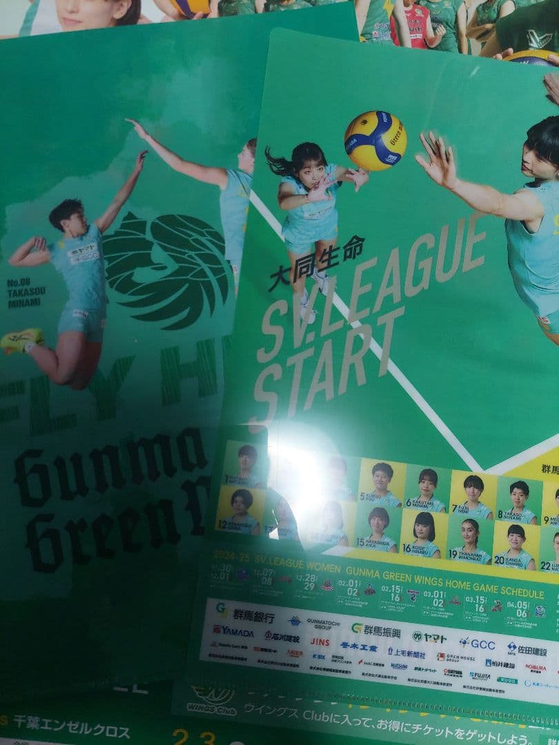 群馬グリーンウィングスポスター、ファイル