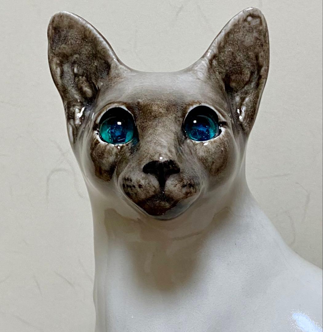 ウィンスタンレイキャット　ケンジントンキャット　寒色系シャム猫　サイズ5