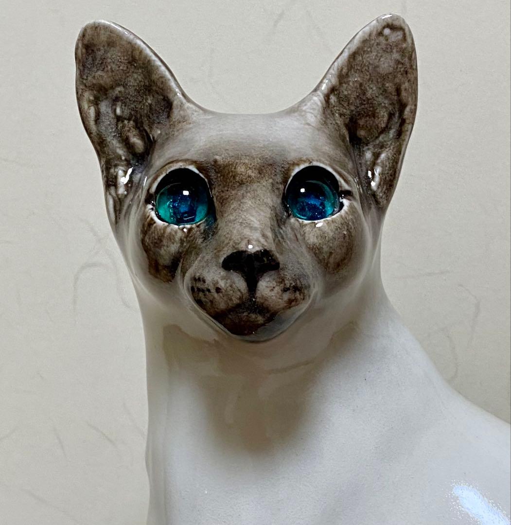 ウィンスタンレイキャット　ケンジントンキャット　寒色系シャム猫　サイズ5