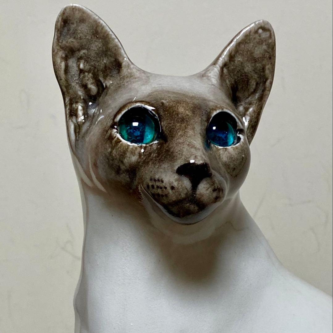 ウィンスタンレイキャット　ケンジントンキャット　寒色系シャム猫　サイズ5