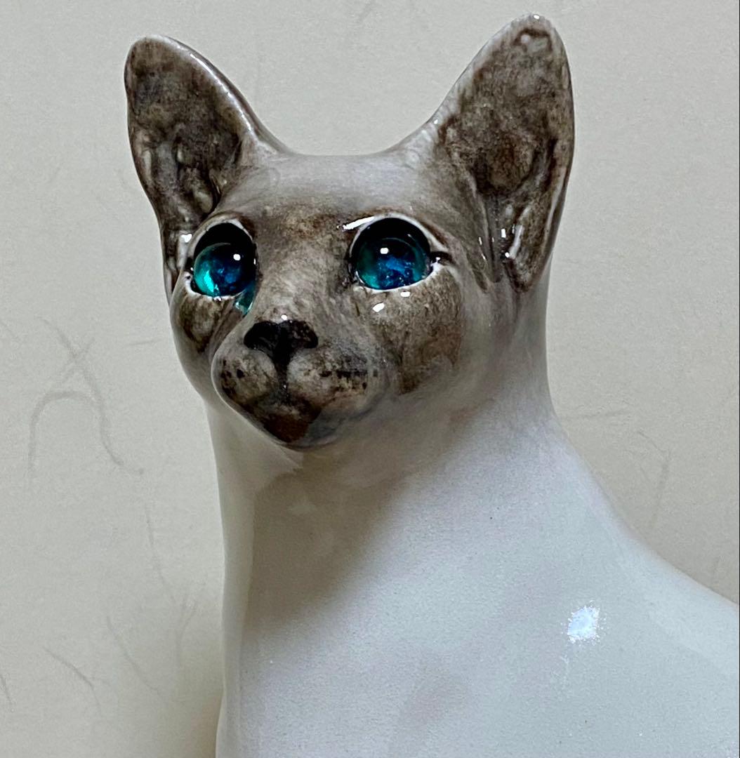 ウィンスタンレイキャット　ケンジントンキャット　寒色系シャム猫　サイズ5