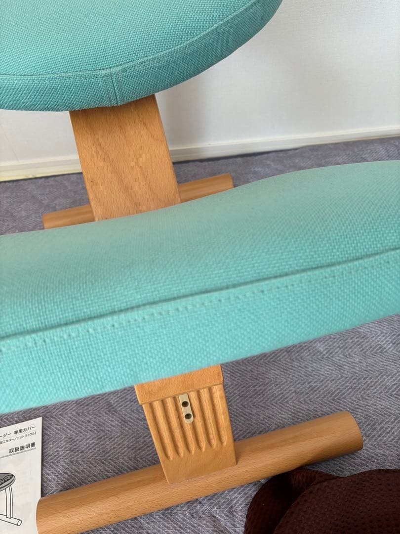 Balans Easy バランスチェア サカモトハウス カバー付