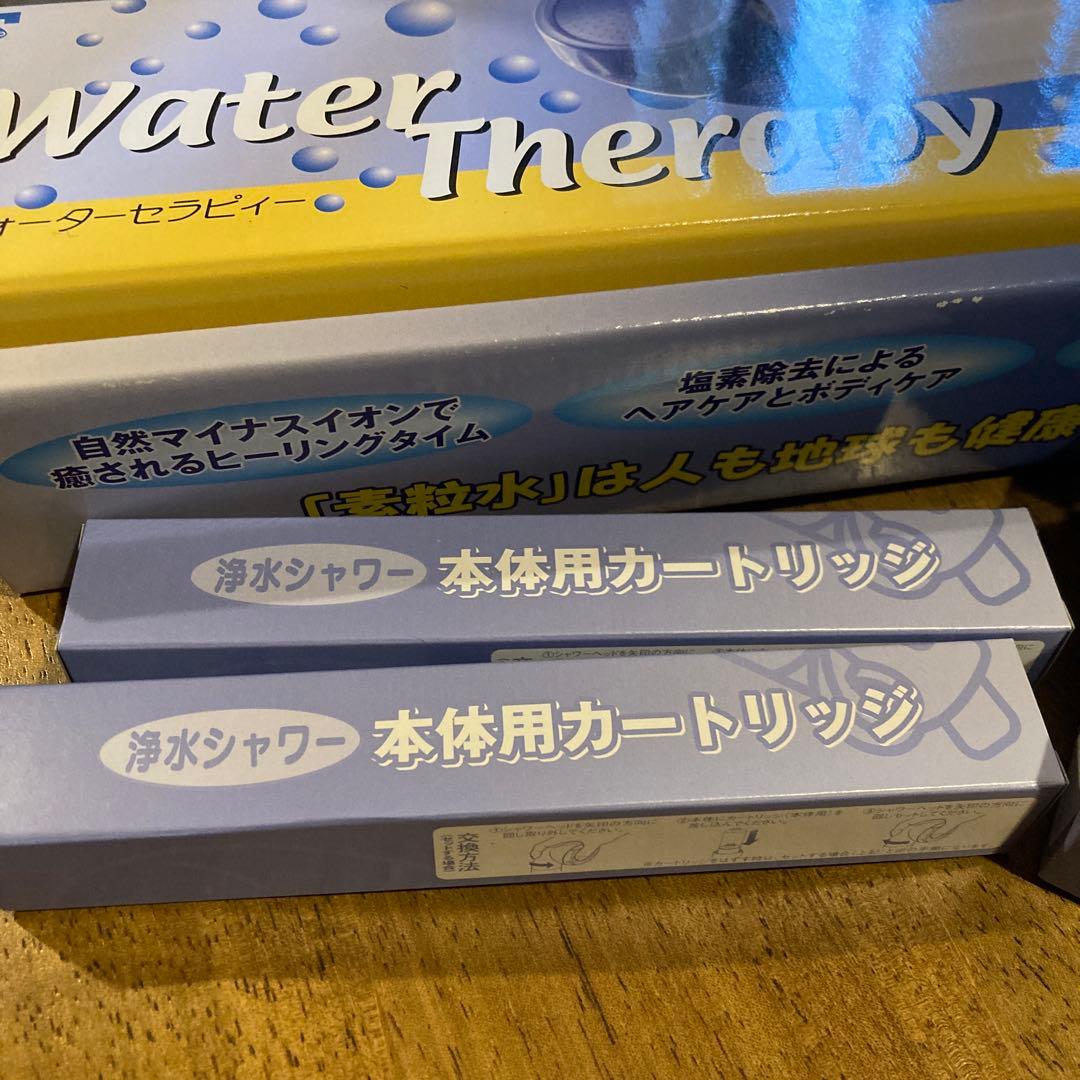 R*o様 water-therapy フリーサイエンス素粒水【カートリッジ４個付