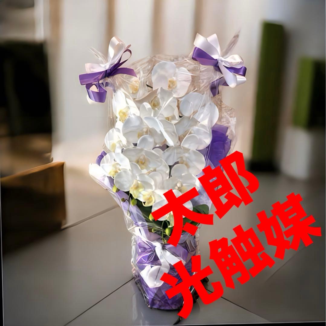 光触媒　人工観葉植物　ウォールグリーン　フェイクグリーン　リアル胡蝶蘭w2