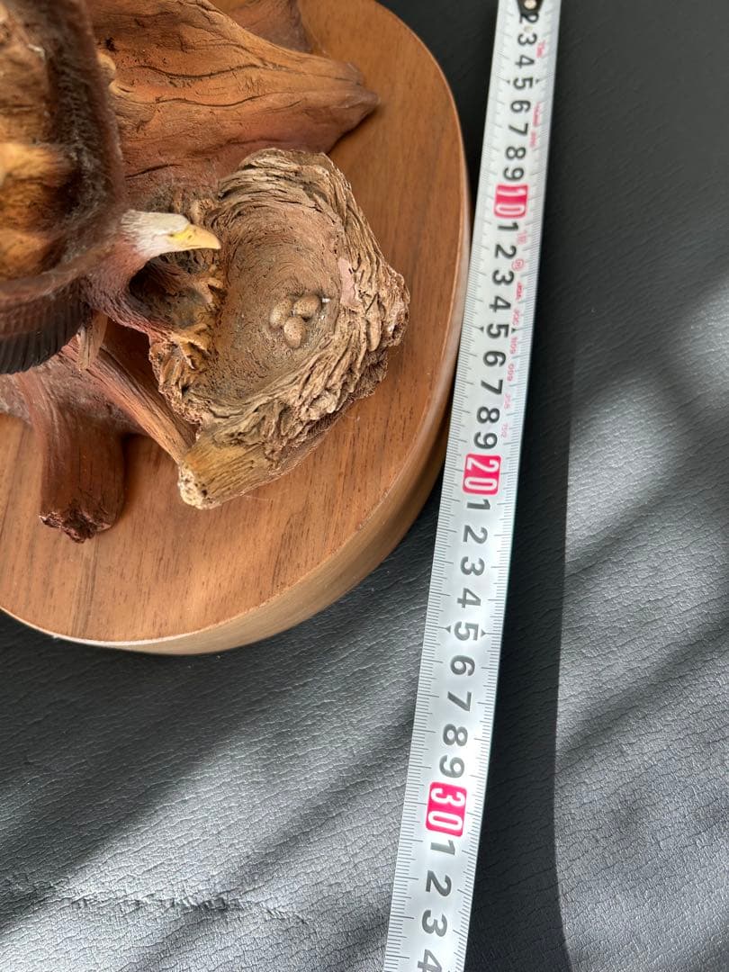 置物 Neil Rose BIRDS OF PREY Resin Sculpture