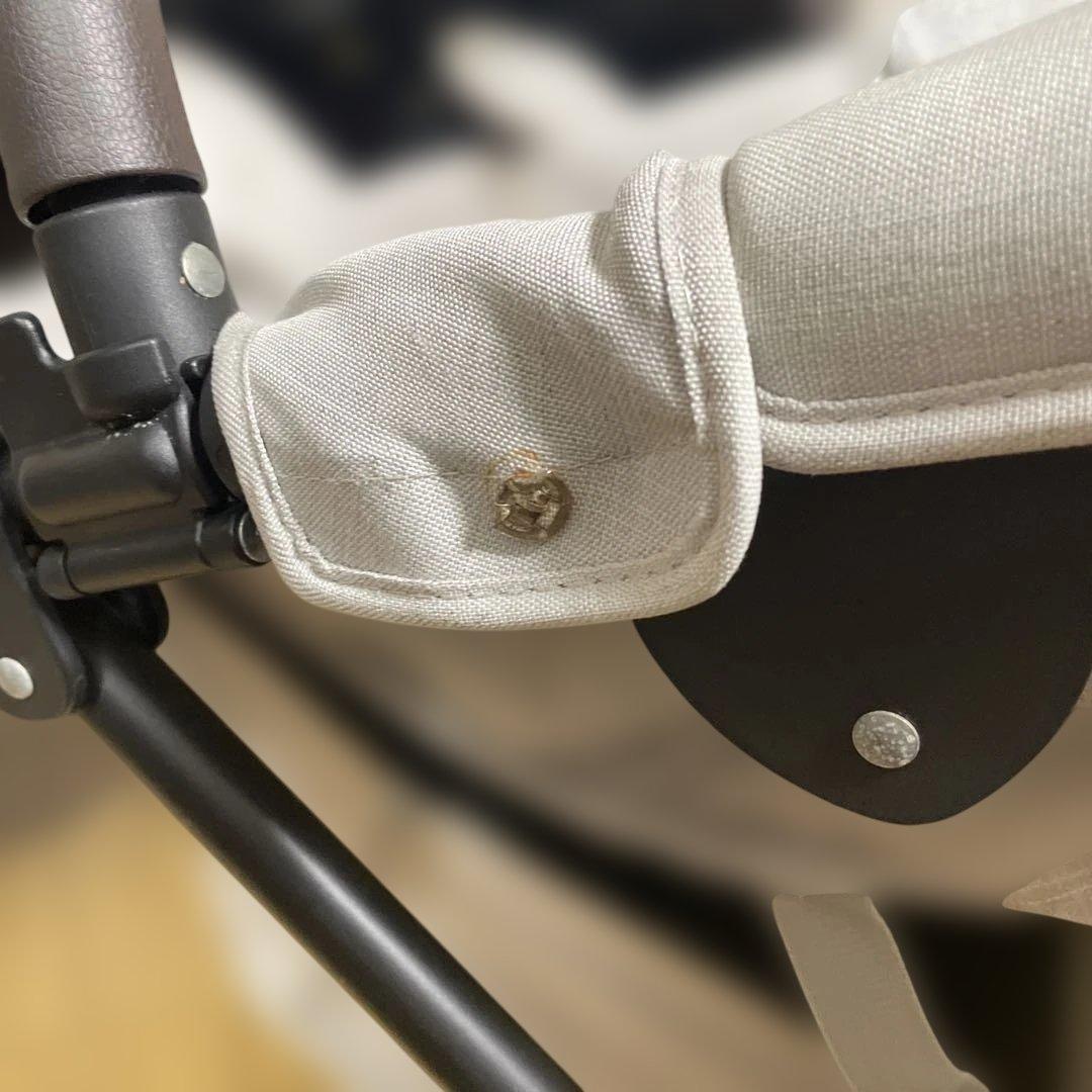 ななこ⭐︎エアバギー ココダブル EX フロームバース アースサンド　純正