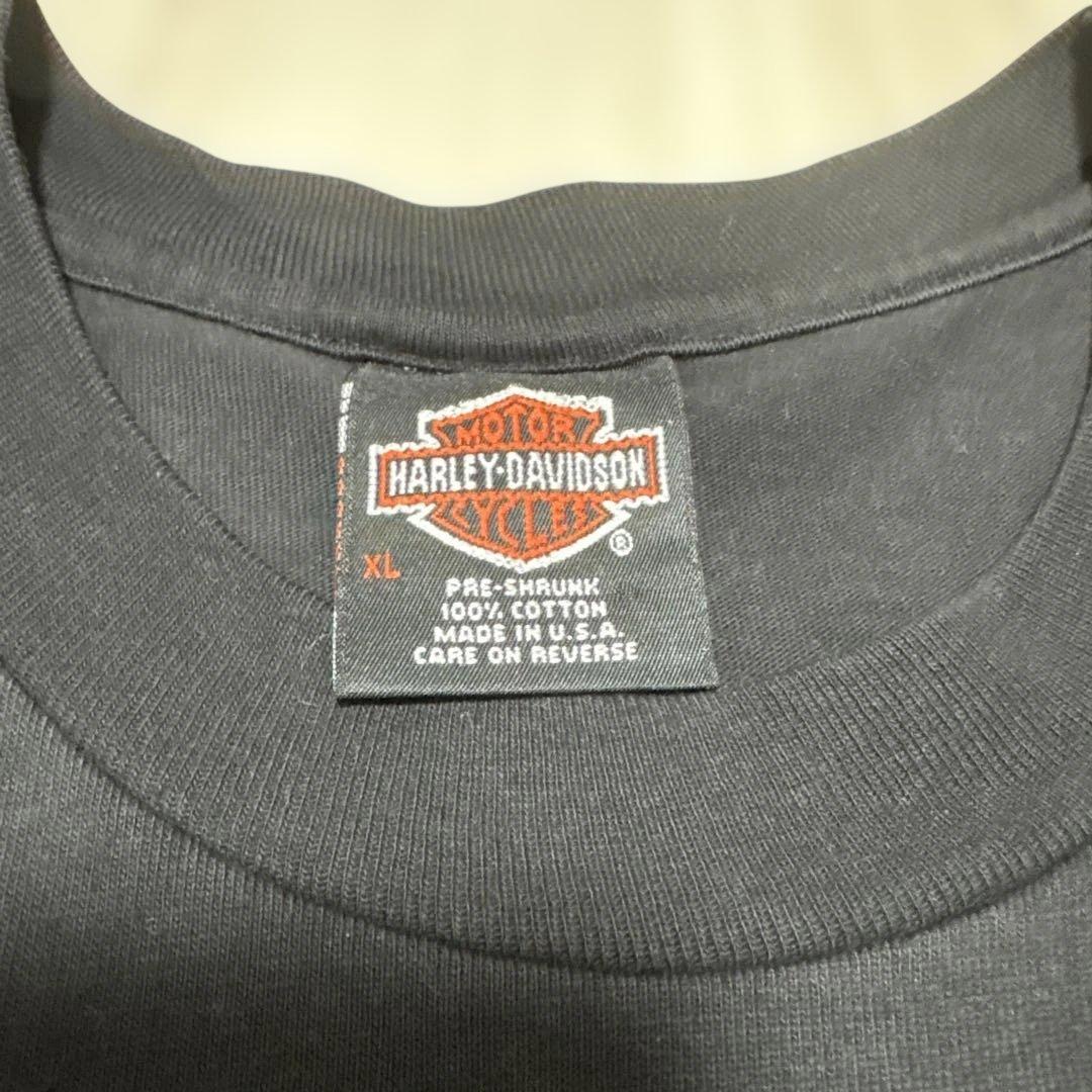 harley davidson バッファロースカル　90s ブルーフレイム