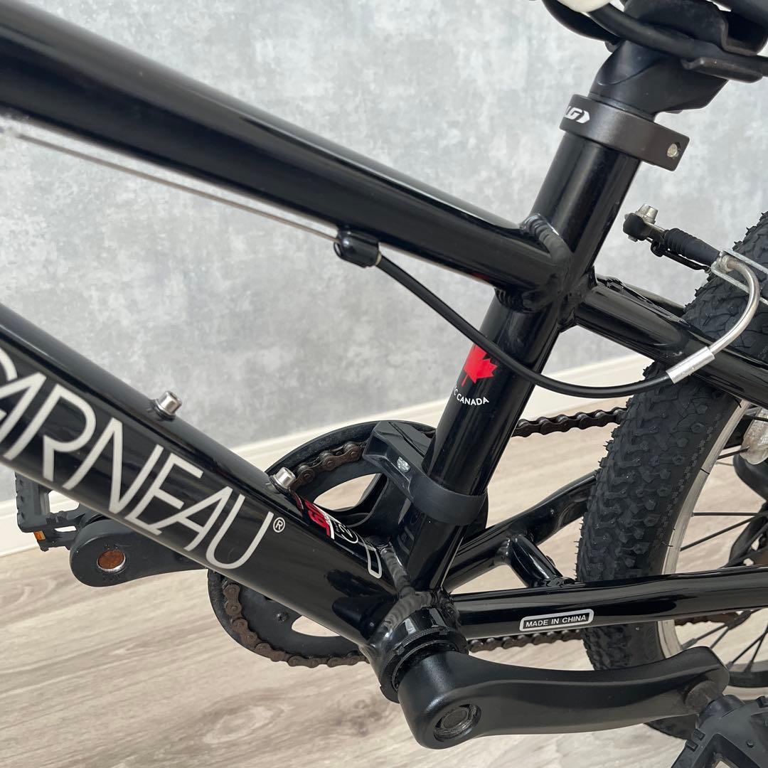 【引取り希望】ルイガノ ジュニアスポーツバイク 20インチ ブラック