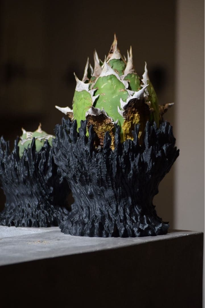 ちょぱ様 リクエスト 5点 まとめ商品