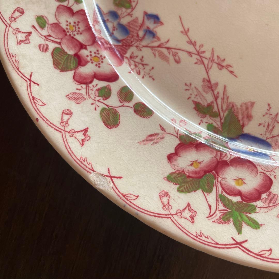 サルグミンヌ 花柄平皿 2枚セット BERTHA 約22.5cm