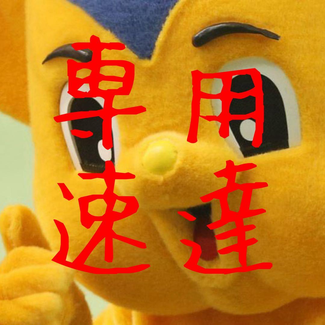 【塊根植物】サイカスカイルンシアナ 国内実生 ソテツ 管理番号3