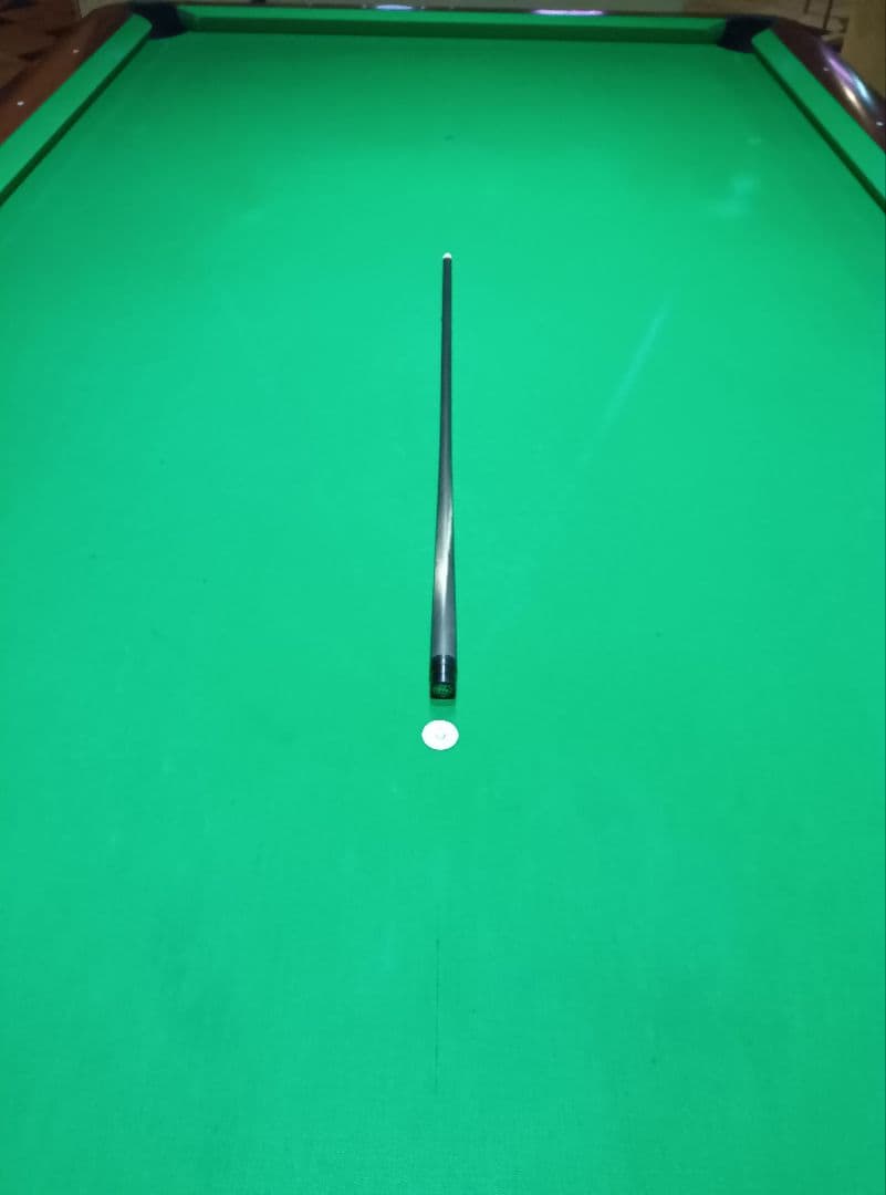 サイゲンシャフト　SAIGEN ラジアル