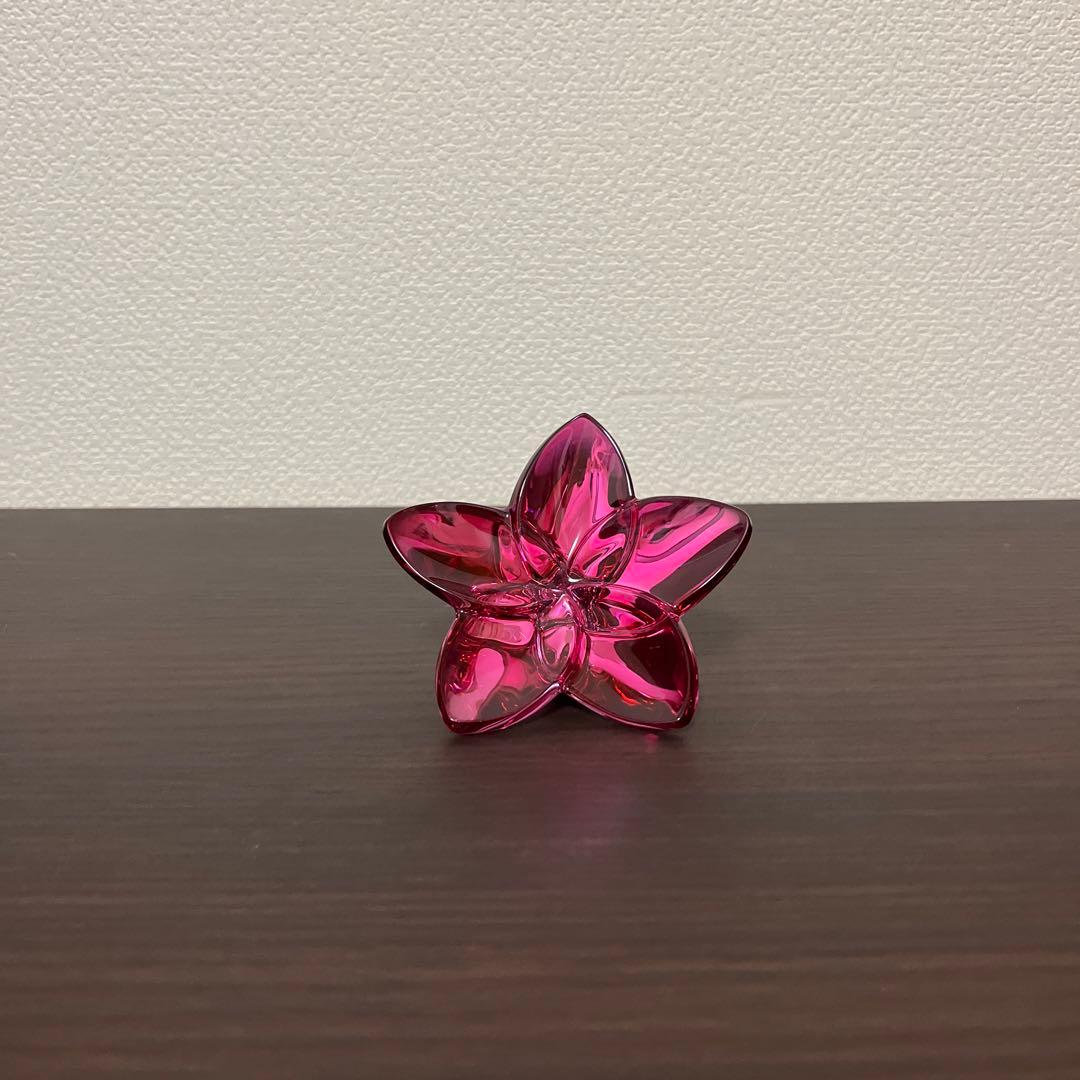 バカラ　ブルーム　ピオニー