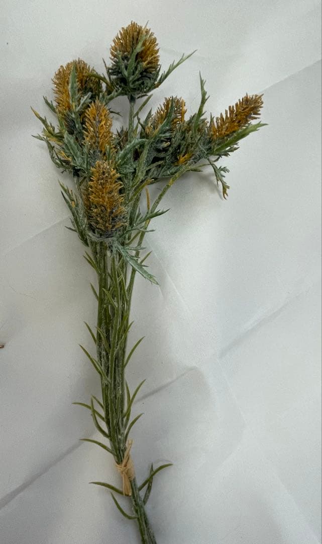 ドライフラワー&ボトルフラワーセット ウェルカムスペースや記念日の飾りに。