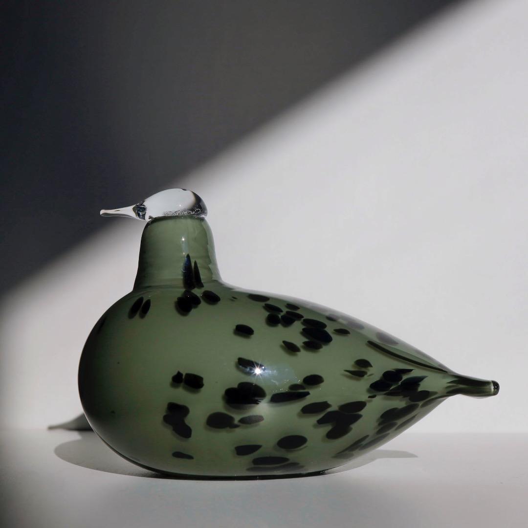 Finn Board イッタラ　バード　オイバトイッカ　イッタラ