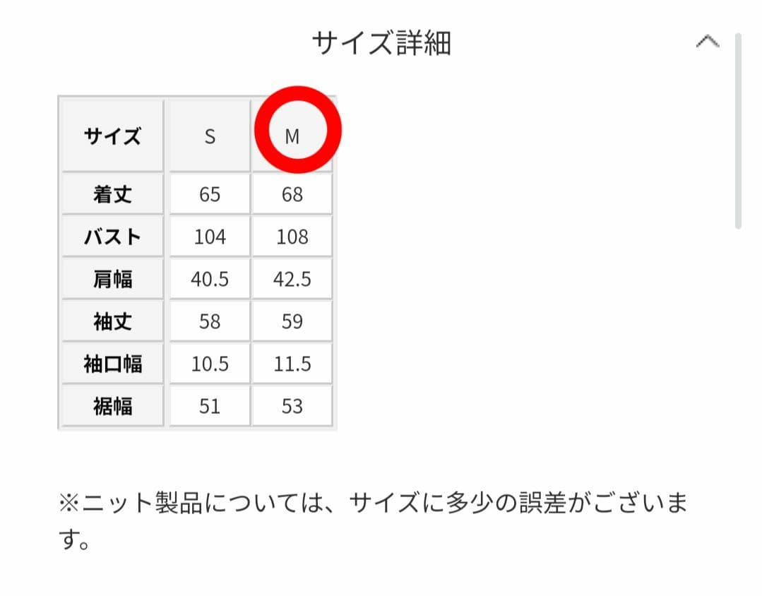 STUNNING LURE ホワイトヤクプルオーバー